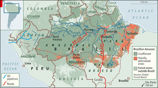 sangre_selva_mapa